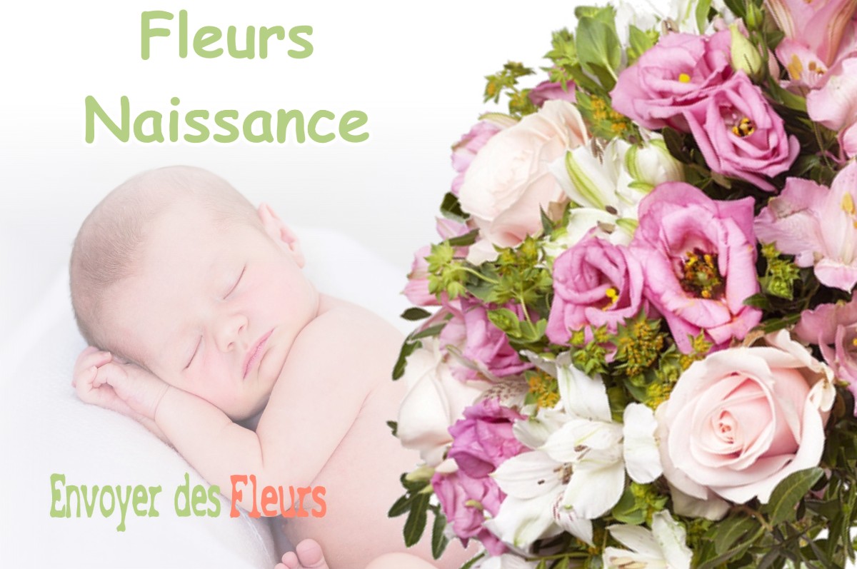 lIVRAISON FLEURS NAISSANCE à MARTRES-DE-RIVIERE